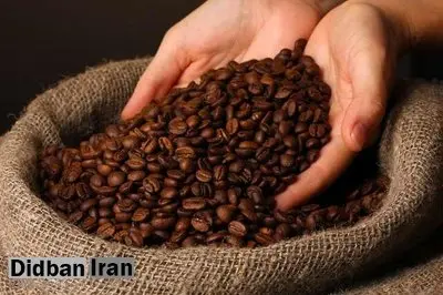 سقف ارزی جدید برای واردات قهوه اعلام شد