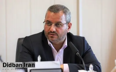 معاون خدمات شهری شهرداری تهران: سگ گردانی در ایران بدون مقررات است 
