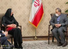 علی اکبر ولایتی بر اجرای انتخابات آزاد در عراق تاکید کرد