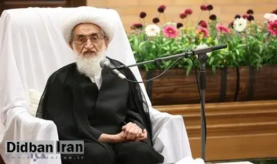 آیت‌الله نوری‌همدانی: من خودم به خرید می‌روم/ هیچ اشرافی بر قیمت‌ها نیست/ زجر مردم را خودم لمس می‌کنم
