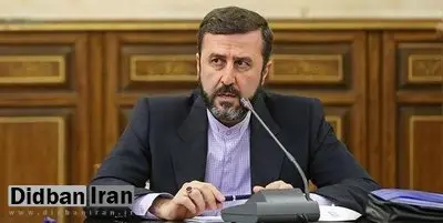 دبیر ستاد حقوق بشر ایران: تعداد دوتابعیتی‌هایی که بازداشتند به ۲۰ نفر هم نمی‌رسد
