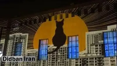 نماینده قم تلفنی خواستار عزل رئیس دانشکده هنرهای زیبا شد/ برکنار نشود، پای دادستان تهران را باز می کنم‌!