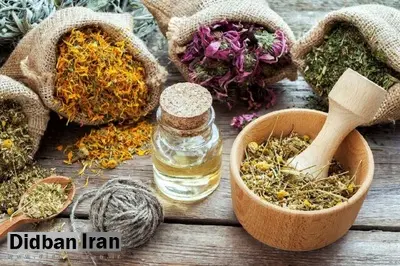 از مادربزرگ من تا ابن سینا و ادعای دانشمندان جدید! علمی که حق را به نیاکان ما داد!