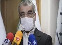 کدخدایی: مشارکت پایین مشروعیت انتخابات را بی‌اعتبار نمی‌کند