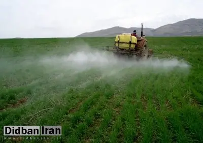 مانور ملی نظارت بر واحدهای کنترل عوامل قرنطینه‌ای گیاهی آغاز شد