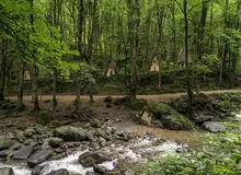 همه چیز در مورد جنگل صفارود رامسر