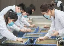 چین برنج فضایی را برداشت کرد
