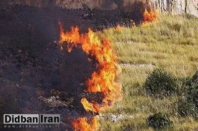 محیط زیست: آتش‌سوزی در بخش عراقی تالاب هورالعظیم همچنان ادامه دارد 