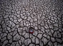 
رئیس‌ شورای تغییرات آب‌وهوایی: گرمایش زمین هیچ‌گاه تا این حد خطرناک نبوده است
