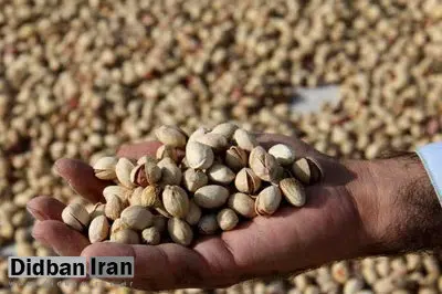 راه‌اندازی آزمایشگاه تخصصی پسته در استان سمنان؛ کیفیت افزایش می‌یابد