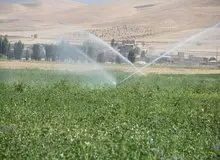 توصیه‌های ۶ روزه هواشناسی به کشاورزان ‌