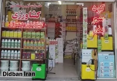 مرگ یک دختر ۷ساله به دلیل شپش سر/ مادرش از سم کشاورزی استفاده کرده بود!