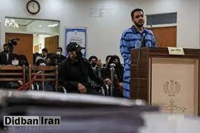 ارگان مطبوعاتی دولت: مجیدرضا رهنورد که در مشهد اعدام شد، فریب علی کریمی و پرستو صالحی را خورد