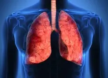 ادعای یک استارتاپ: اعضای بدن تا ۱۵ سال دیگر چاپ سه‌بعدی خواهند شد