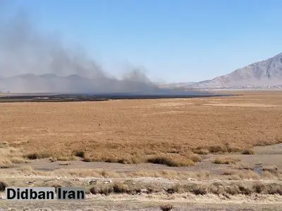 آتش‌سوزی در تالاب گندمان چهارمحال و بختیاری 