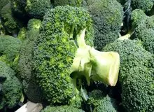 اکسیر جوانی کشف شد!

