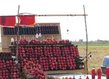 دلال‌ها جلوی عرضه انار را گرفتند/ خرید باغ ۵ هزار، فروش در شهرها  ۲۰هزار تومان