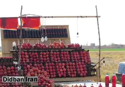 دلال‌ها جلوی عرضه انار را گرفتند/ خرید باغ ۵ هزار، فروش در شهرها  ۲۰هزار تومان