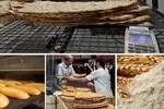 یارانه آرد و نان افزایش یافت