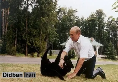 سگ روسیه و آمریکا نباشیم، سگ خودمان باشیم