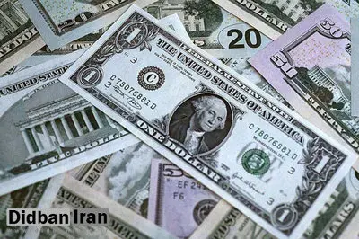 پایان عرضه ارز دولتی به مسافران/ ضوابط ارز مسافری تغییر می‌کند
