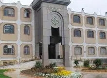 شهرداری اراک: در تمام جهان غذا دادن به حیوانات بلاصاحب در سطح شهر ممنوع است/ اما در کشور ما به یک مدل روشنفکری تبدیل شده است