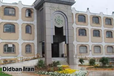 شهرداری اراک: در تمام جهان غذا دادن به حیوانات بلاصاحب در سطح شهر ممنوع است/ اما در کشور ما به یک مدل روشنفکری تبدیل شده است