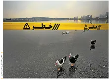 تمساح یا اردک ماهی، در دریاچه چیتگر چه خبر است؟