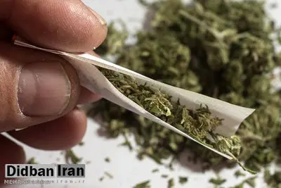 گل از شیشه پیشی گرفت/ هشدار پلیس تهران درباره رشد مصرف گل
