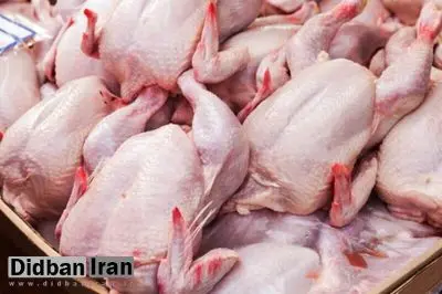 عرضه گوشت مرغ بالای ۶۰هزارتومان تخلف و گران‌فروشی است