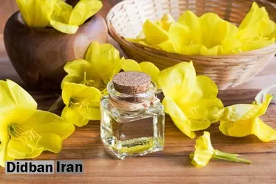 فواید روغن گل مغربی را بشناسید