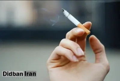 ۴ خوراکی که به ترک سیگار  کمک می‌کند+اسامی