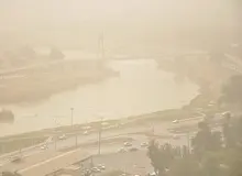 
گردوخاک اهواز کنوکارپوس را هم سوزانده است