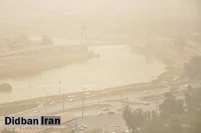 
گردوخاک اهواز کنوکارپوس را هم سوزانده است