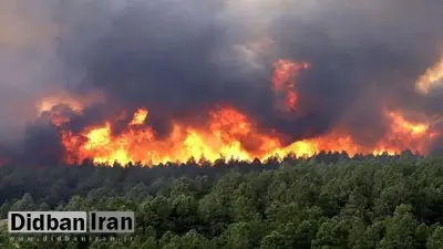 گزارش کمیسیون شورا‌های مجلس درباره آتش‌سوزی جنگل الیت: کمبود تجهیزات و نیرو‌های واکنش سریع  از دلایل طولانی شدن عملیات اطفا حریق بود/ حریق احتمالا با دخالت عامل انسانی از جمله شکارچیان غیرقانونی و یا حفاران مجاز آغاز شده 