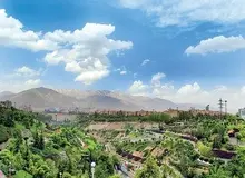 در سال گذشته، ۳۱۴ هکتار از پوشش‌ گیاهی تهران با تغییر کاربری از بین رفته است