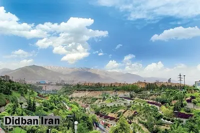 در سال گذشته، ۳۱۴ هکتار از پوشش‌ گیاهی تهران با تغییر کاربری از بین رفته است