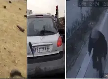 بازداشت عوامل ویدئو های باران بادمجان در تهران/ دلیل بازداشت معلوم نیست 
