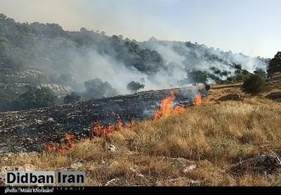 عاملان آتش‌سوزی کوه خائیز دستگیر شدند/ ۴۰ هکتار جنگل و مرتع در آتش سوخت