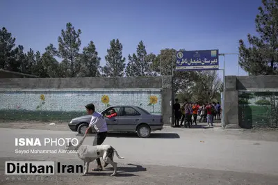 ماجرای حمله سگ به دانشآموزی در مدرسه روستای ناظریه