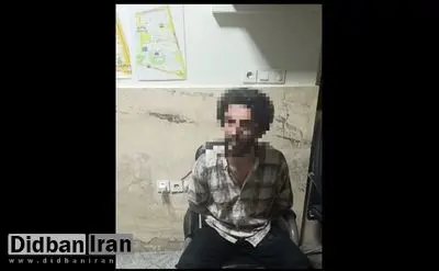 سه نفر از جاسوسان موساد دستگیر شدند 