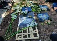 ‏استاد داریوش پیرنیاکان: چرا عزای عمومی اعلام نشد؟
