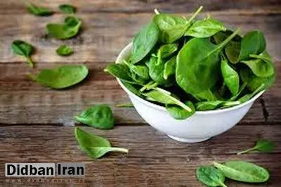 ۳۳ خاصیت  و فایده اسفناج برای زیبایی پوست، مو ، لاغری  و درمان بیماری ها+با طرز تهیه نوشیدنی اسفناج آشنا شوید