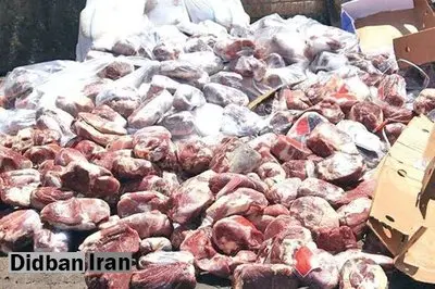 جزئیات تکان دهنده از پرونده کشف ۳ تن گوشت الاغ در تهران+فیلم 