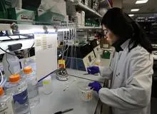  ویروس کرونا ممکن است مستقیما به مغز حمله کند