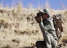 حمله با تبر و بریدن گوش یک محافظ محیط زیست