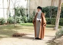 آیت‌الله خامنه‌ای: باید جلوی تخریب جنگل‌ها و تبدیل اراضی کشاورزی گرفته شود