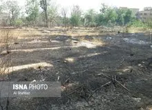 8 هکتار از باغات محلات در آتش سوخت