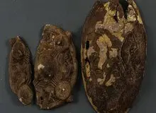 پیدا شدن گنج هزار ساله در حیاط خانه+ عکس