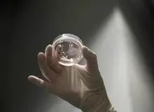 خرید و فروش «تخمک» تا ۲۰ میلیون تومان